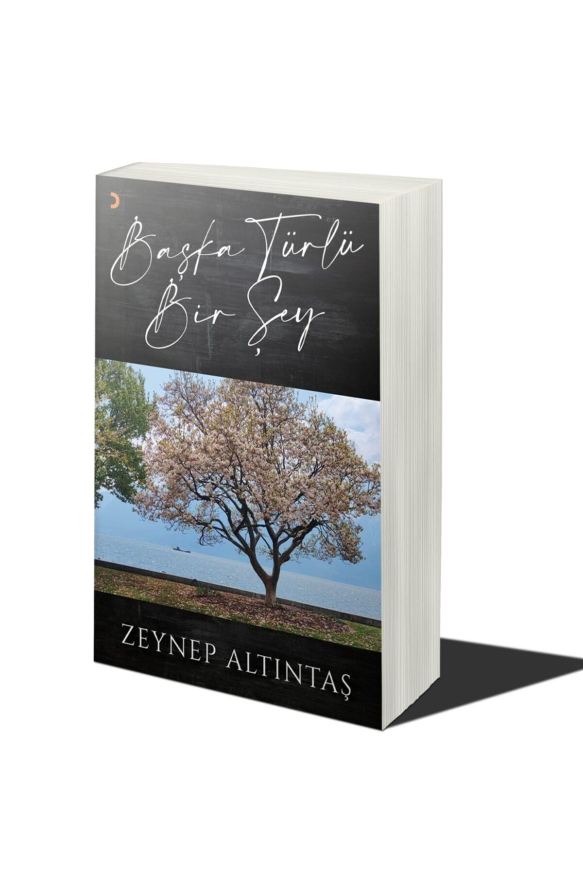Başka Türlü Bir Şey