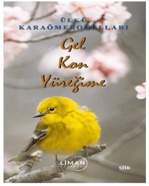Gel Kon Yüreğime