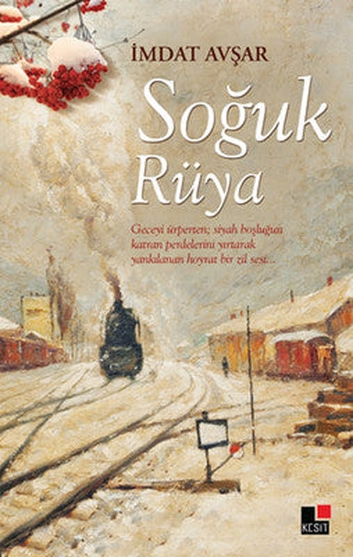Soğuk Rüya | Kesit Yayınları