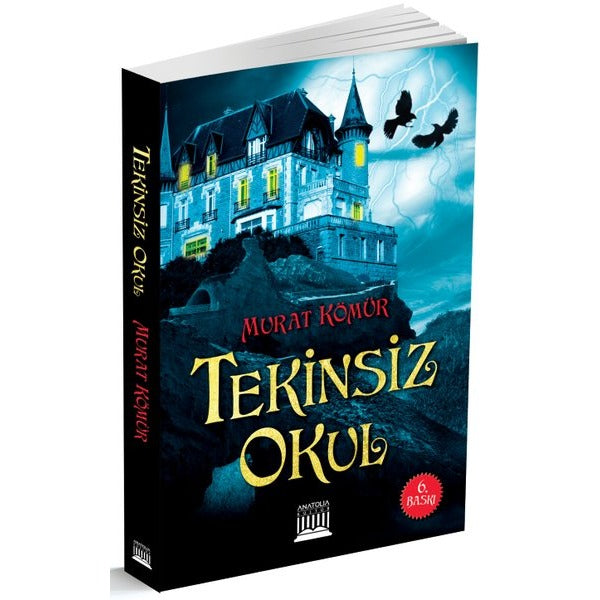 Tekinsiz Okul | Anatolia Kültür