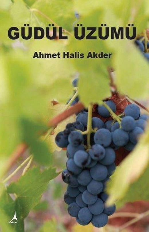 Güdül Üzümü | Alter Yayınları (İnce Kapak)