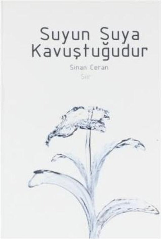 Suyun Suya Kavuştuğudur
