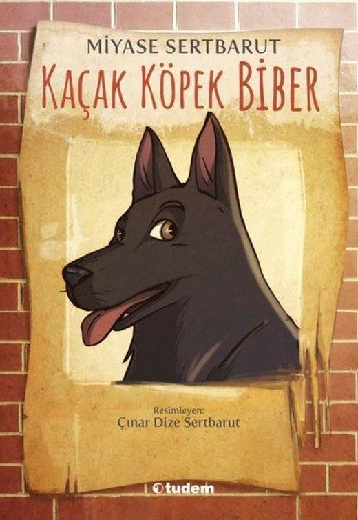 Kaçak Köpek Biber | Tudem Yayınları - Çocuk Kitapları Dizisi (İnce Kapak)