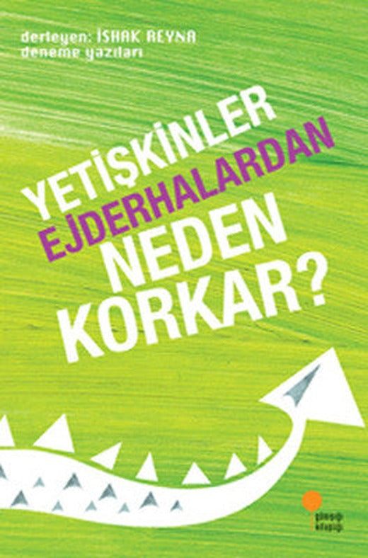 Yetişkinler Ejderhalardan Neden Korkar? | Günışığı Yayınları