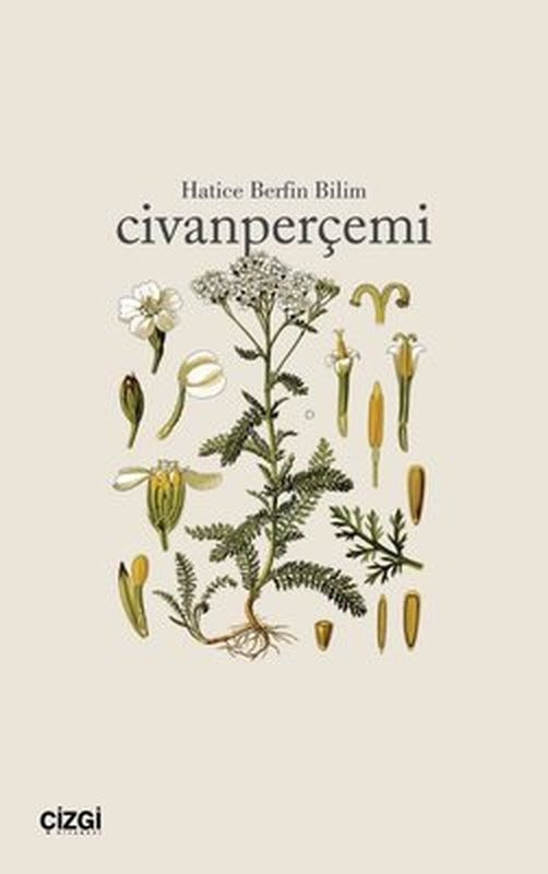 Civanperçemi | Çizgi Kitabevi