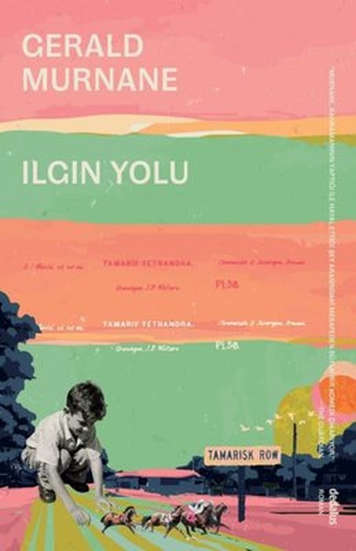 Ilgın Yolu | Dedalus (İnce Kapak)
