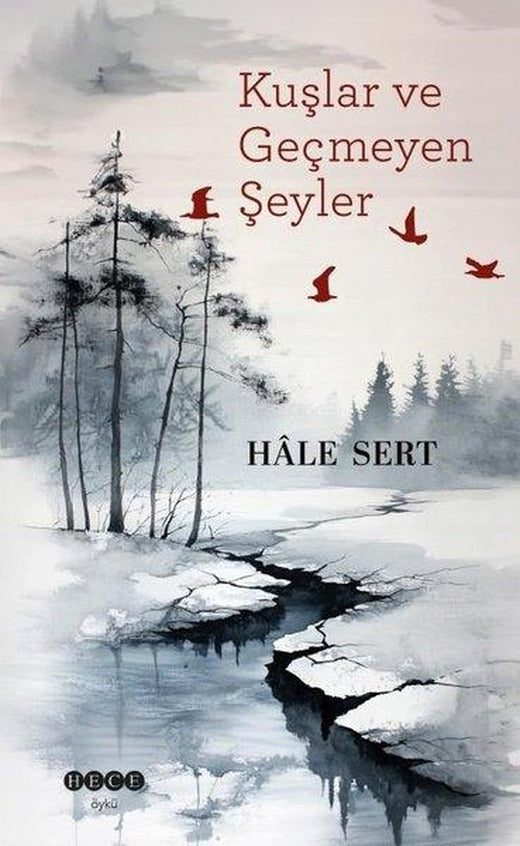 Kuşlar ve Geçmeyen Şeyler | Hece Yayınları (İnce Kapak)