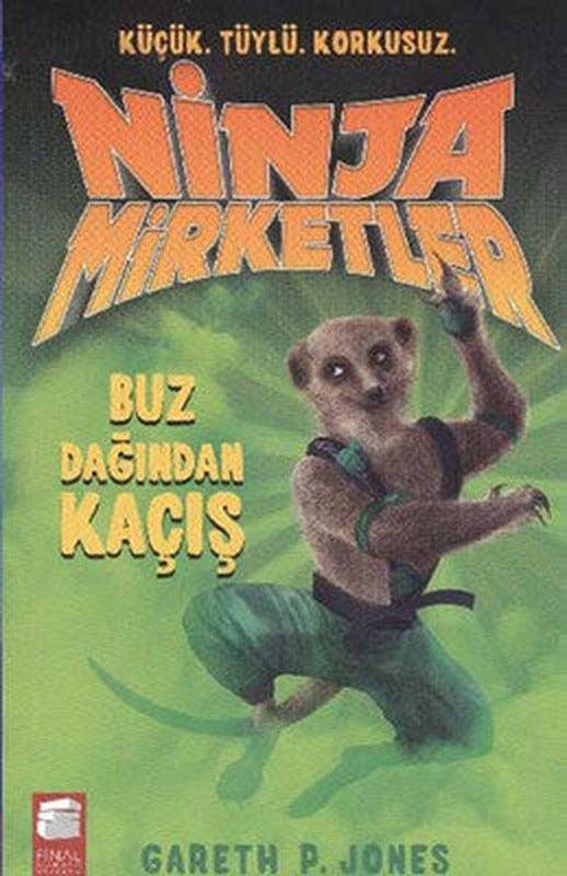 Ninja Mirketler-3 Buz Dağından Kaçış | Final Kültür Sanat Yayınları