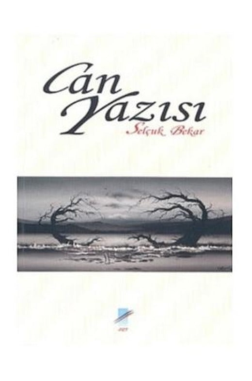 Can Yazısı | Art Basın Yayın Hizmetleri (Ciltsiz)