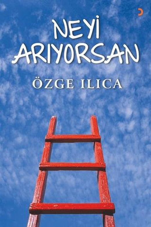 Neyi Arıyorsan