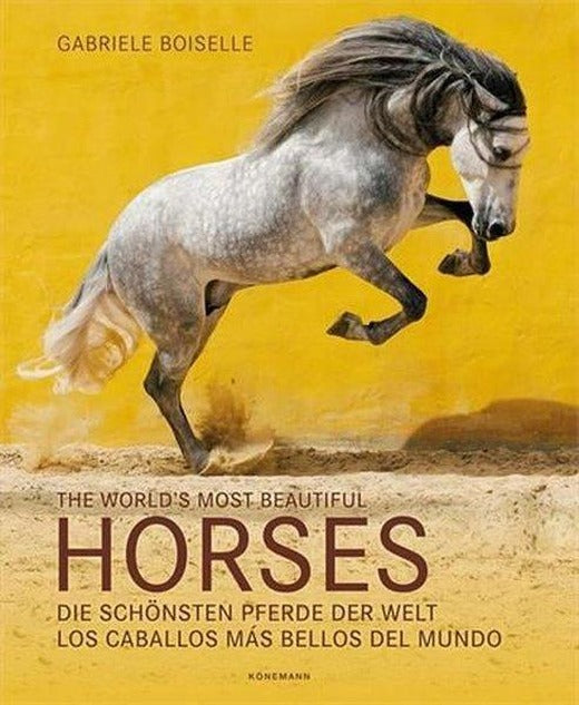 The World's Most Beautiful Horses