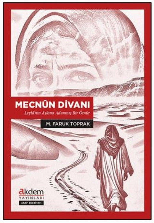 Mecnûn Divanı