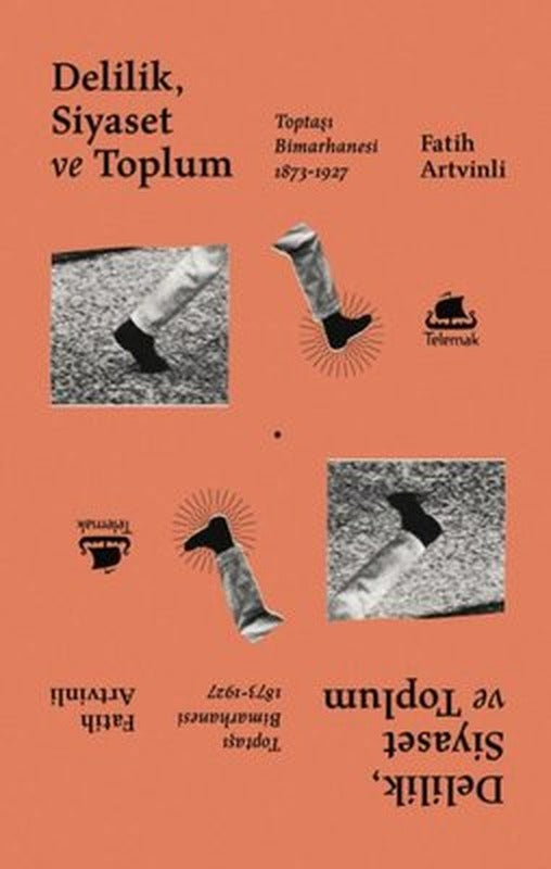 Delilik Siyaset ve Toplum: Toptaşı Bimarhanesi 1873-1927 | Telemak Dijital