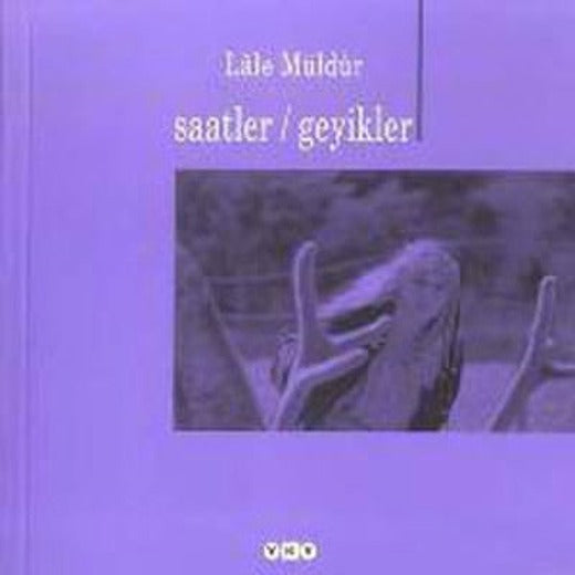 Saatler / Geyikleri | Yapı Kredi Yayınları