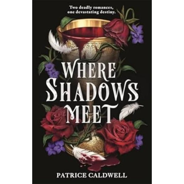 Where Shadows Meet