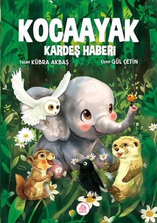 Kocaayak Kardeş Haberi | Pembe Fil Yayınları