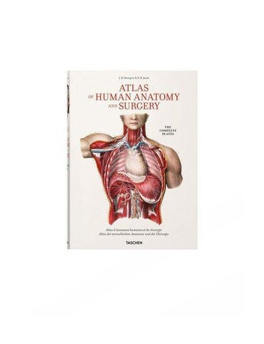 Bourgery. Atlas of Human Anatomy and Surgery | Taschen GmbH (Ciltli)