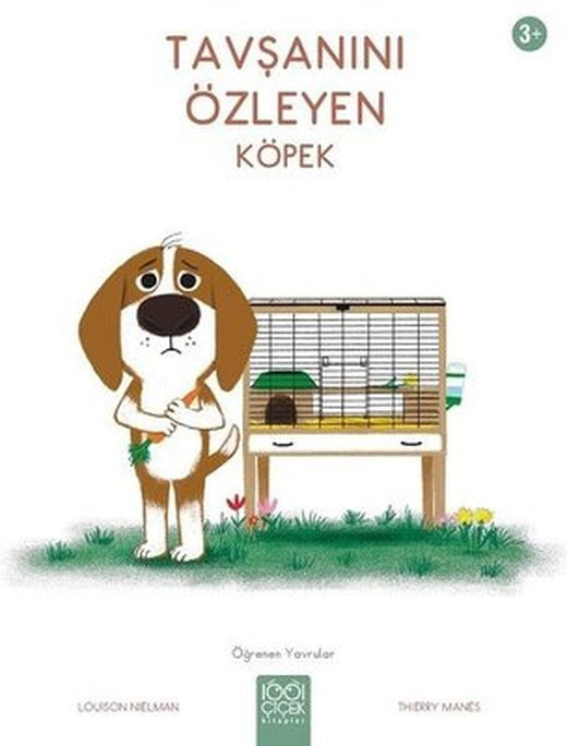 Tavşanını Özleyen Köpek 3+ Öğrenen Yavrular | 1001 Çiçek