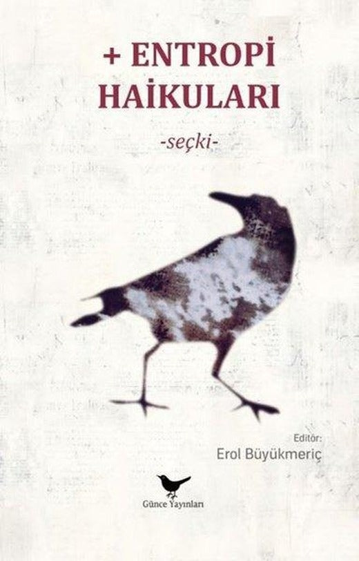 Entropi Haikuları