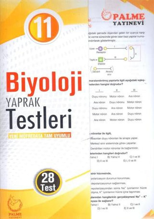 Palme Yaprak Test 11. Sınıf Biyoloji