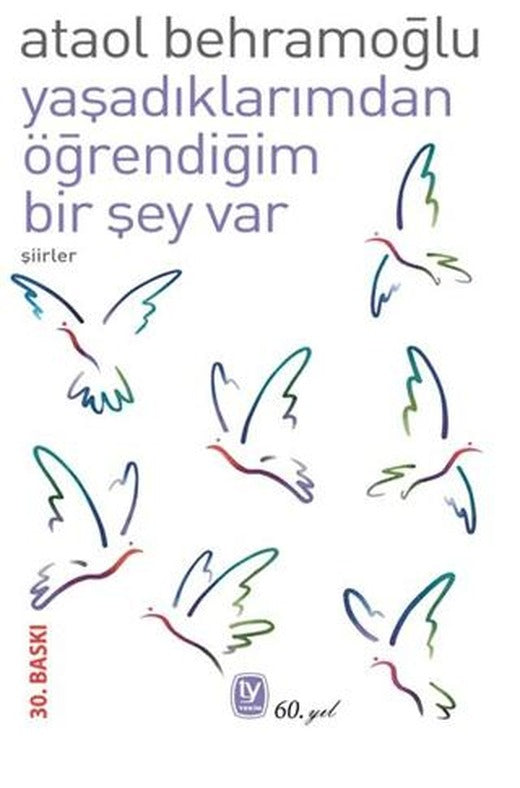 Yaşadıklarımdan Öğrendiğim Bir Şey Var | Tekin Yayınevi (Ciltsiz)