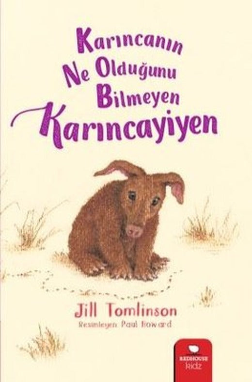Karıncanın Ne Olduğunu Bilmeyen Karıncayiyen | Redhouse Kidz Yayınları