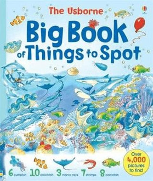 Big Book of Things to Spot | Usborne (Ciltsiz)