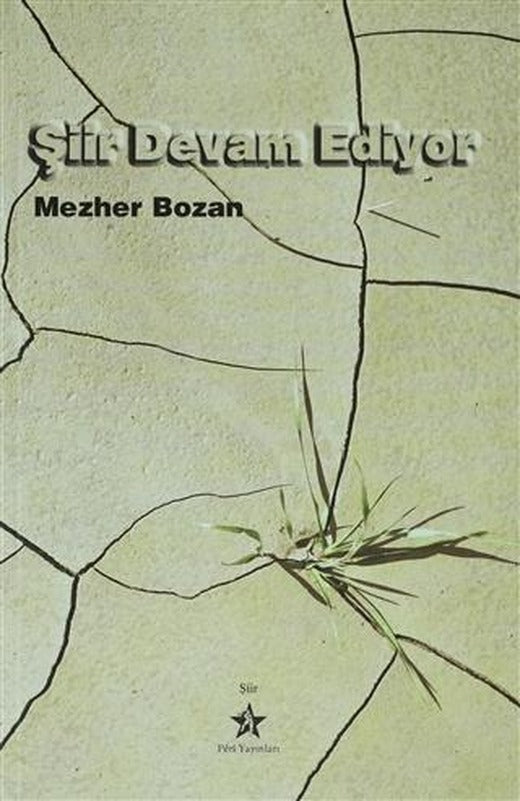 Şiir Devam Ediyor