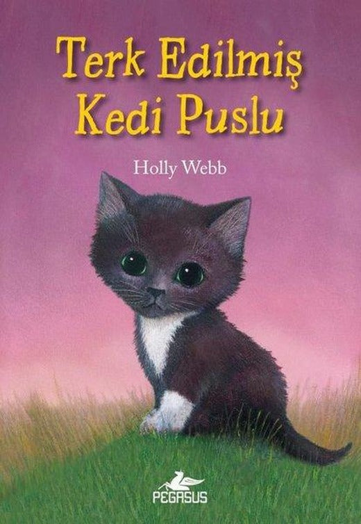 Terk Edilmiş Kedi Puslu | Pegasus (İnce Kapak)