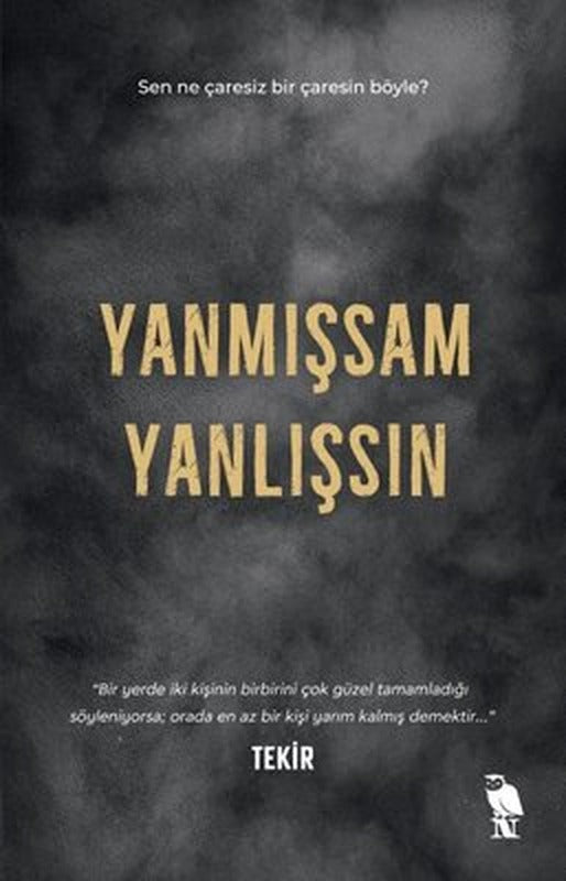 Yanmışsam Yanlışsın | Nemesis Kitap