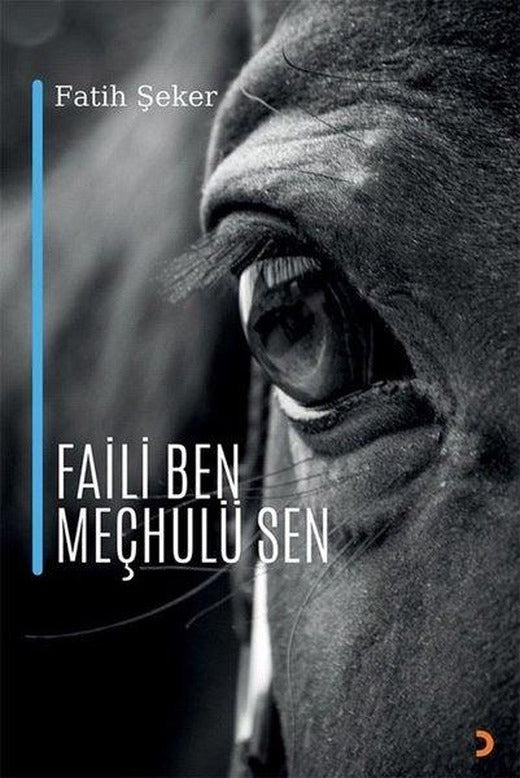 Faili Ben Meçhulü Sen | Cinius (İnce Kapak)