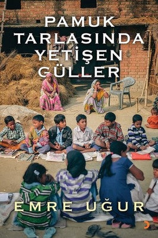 Pamuk Tarlasında Yetişen Güller | Cinius