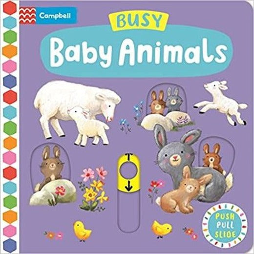 Busy Baby Animals | Pan MacMillan