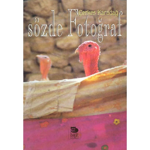 Sözde Fotoğraf | İmge Kitabevi (İnce Kapak)