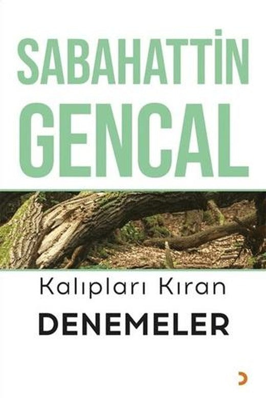 Kalıpları Kıran Denemeler