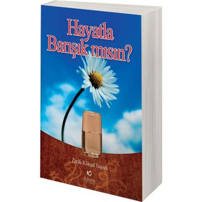 Hayatla Barışık mısın? | İldem Yayınları