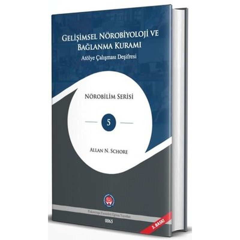 Gelişimsel Nörobiyoloji ve Bağlanma Kuramı - Atölye Çalışması Deşifresi | Psikoterapi Enstitüsü