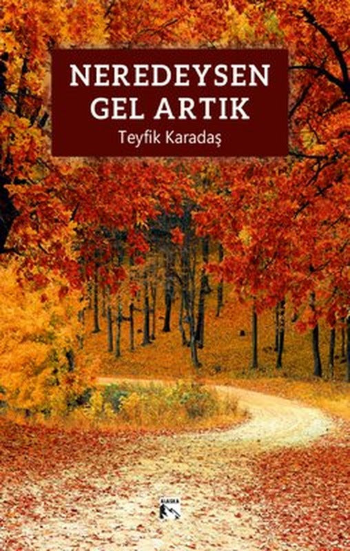 Neredeysen Gel Artık | Alaska Yayınları (İnce Kapak)