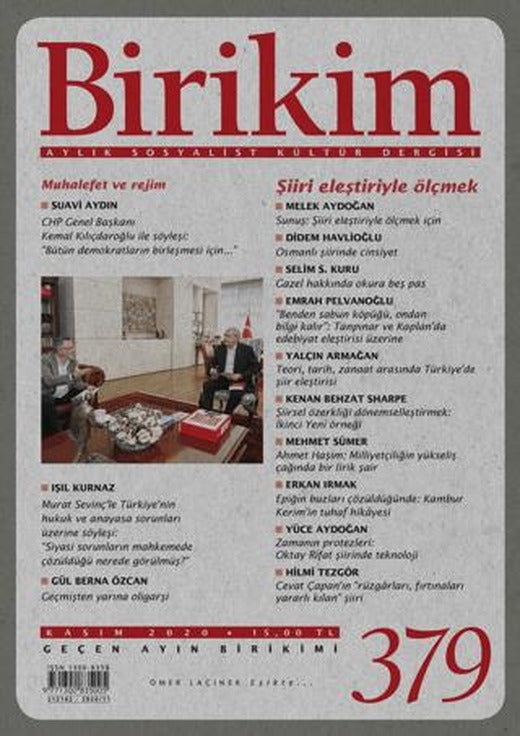 Birikim Aylık Sosyalist Kültür Dergisi Sayı: 379 Kasım 2020 | Birikim Yayınları (Ciltsiz)