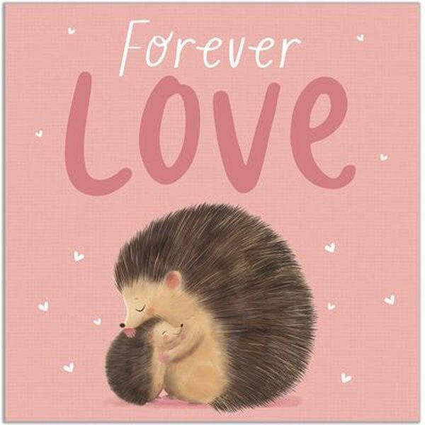 Forever Love | Bonnier Books UK (İnce Kapak)  - Resim 1