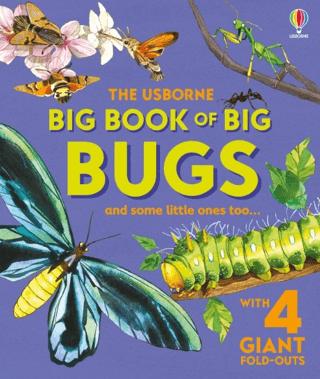 Big Book of Big Bugs | Usborne (Ciltli)  - Resim 1