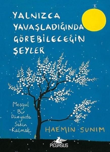 Yalnızca Yavaşladığında Görebileceğin Şeyler | Pegasus (Ciltli)  - Resim 1