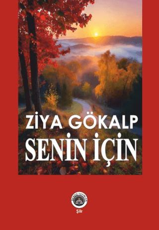 Senin İçin | Nando Yayınları (Ciltsiz)  - Resim 1
