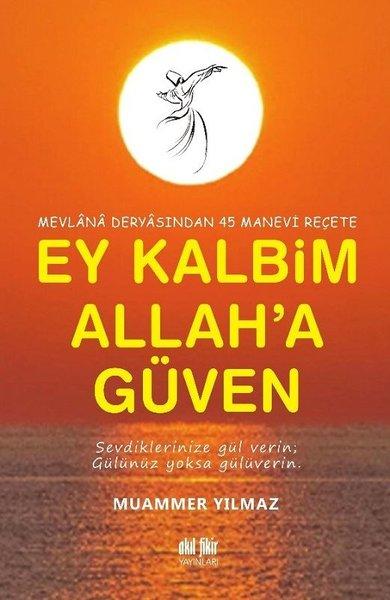 Mevlana Deryasından 45 Manevi Reçete | Akıl Fikir Yayınları (İnce Kapak)  - Resim 1