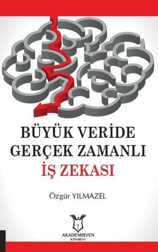 Büyük Veride Gerçek Zamanlı İş Zekası | Akademisyen Kitabevi (Ciltsiz)  - Resim 1