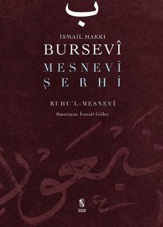 Mesnevi Şerhi | İnsan Yayınları (Ciltli)  - Resim 1