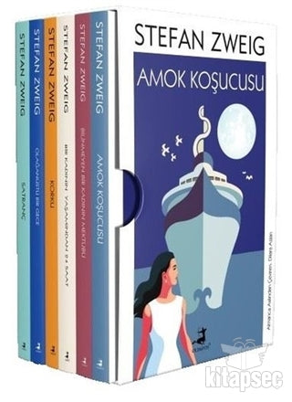 Stefan Zweig Seti 6 Kitap - Stefan Zweig kitap kapağı