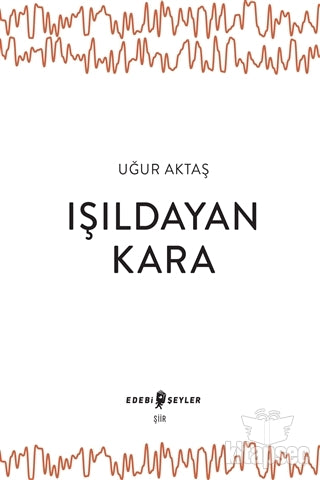Işıldayan Kara - Uğur Aktaş kitap kapağı