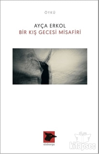 Bir Kış Gecesi Misafiri - Ayça Erkol kitap kapağı