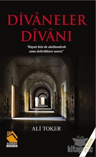 Divaneler Divanı - Ali Toker kitap kapağı
